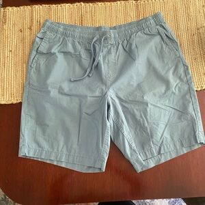 Light Gray Casual Shorts